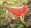 Helios Lotus-Rusher Waterproof 2-in-1 Convertible Dog Jacket w/ Blackshark technology
